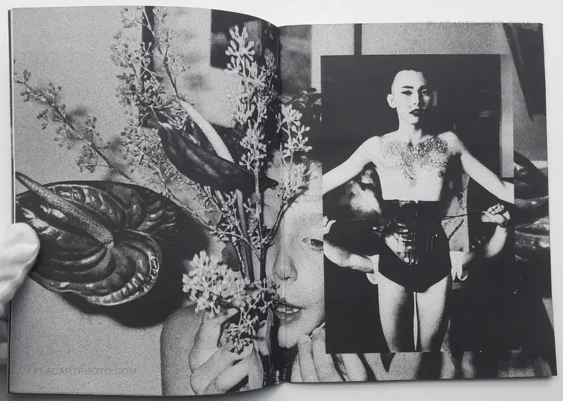 North East South West (LTD & SIGNED)