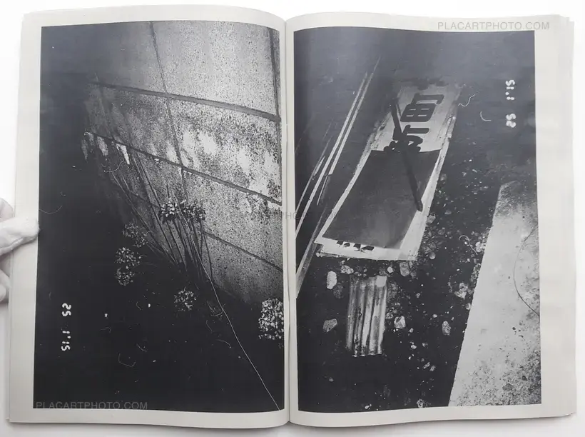 Towards the North (SIGNED)