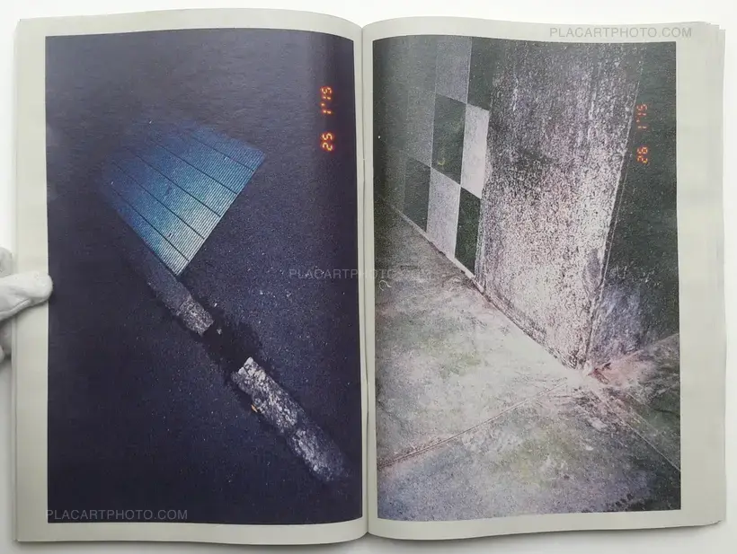 Towards the North (SIGNED)