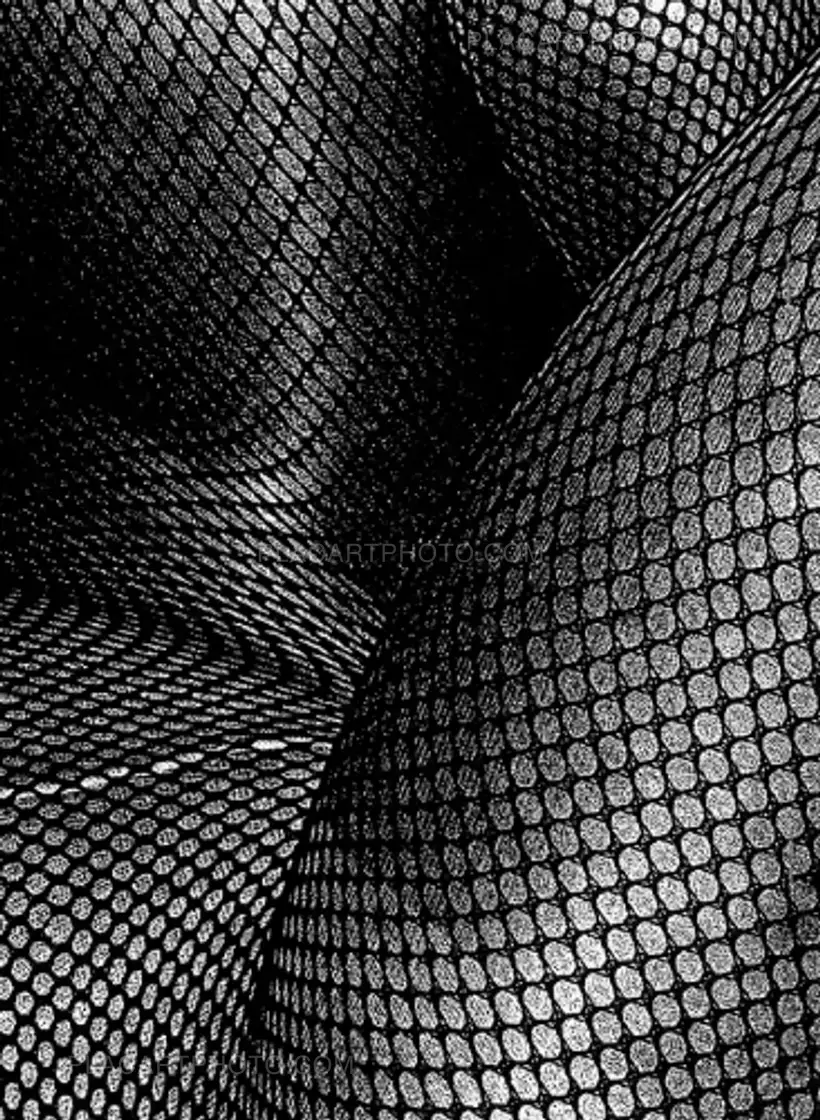 TIGHTS IN SHIMOTAKAIDO (SIGNED AND NUMBERED)