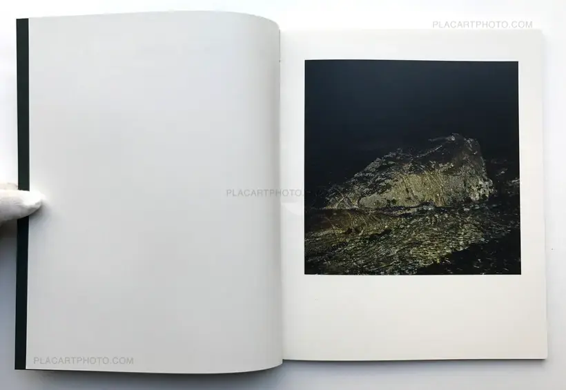 O OUTRO TIGRE (SIGNED)