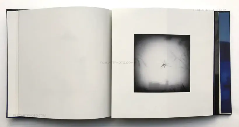 Mais la nuit ne part pas pour autant