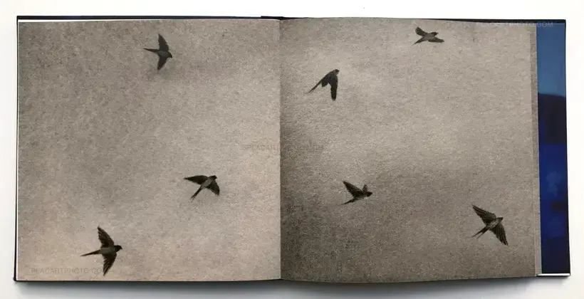 Mais la nuit ne part pas pour autant