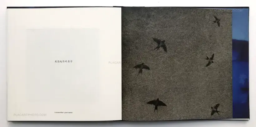 Mais la nuit ne part pas pour autant