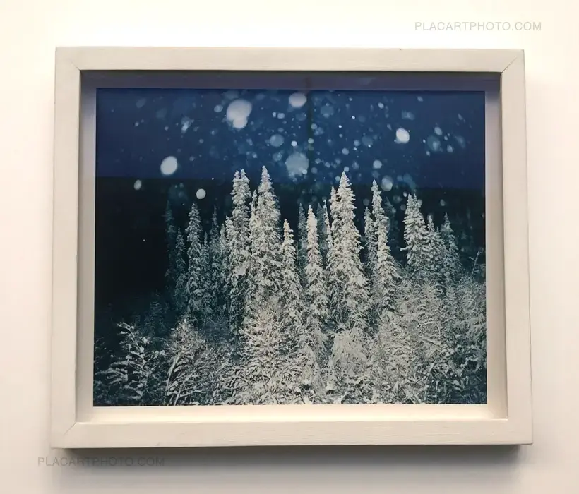 Vinter (LTD EDT WITH PRINT)