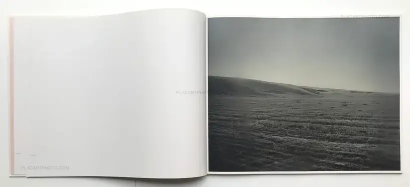 A Road divided (SIGNED)