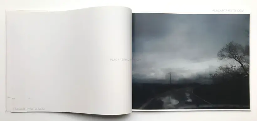 A Road divided (SIGNED)