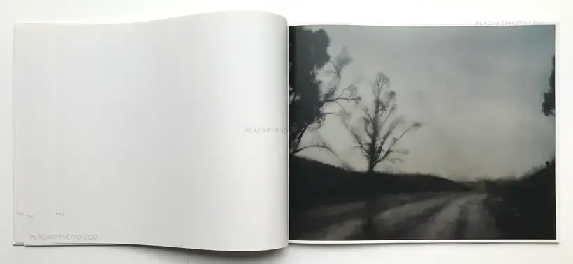 A Road divided (SIGNED)