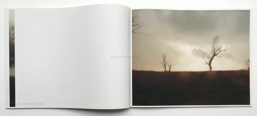 A Road divided (SIGNED)