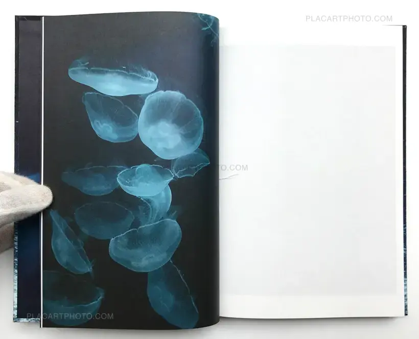 Noces ou les confins sauvages