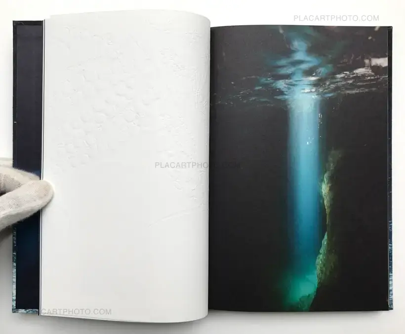 Noces ou les confins sauvages