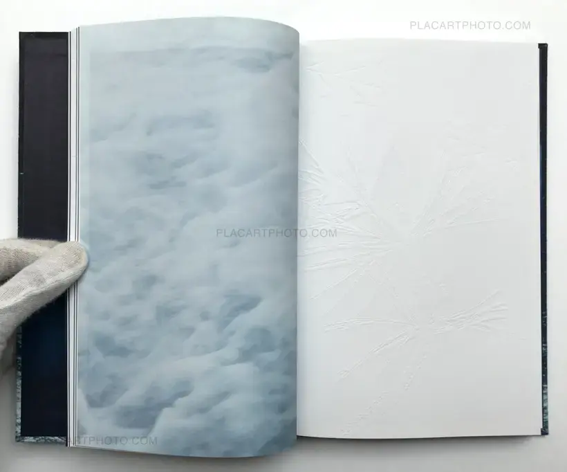 Noces ou les confins sauvages