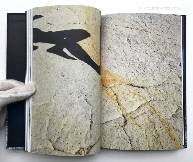 Noces ou les confins sauvages