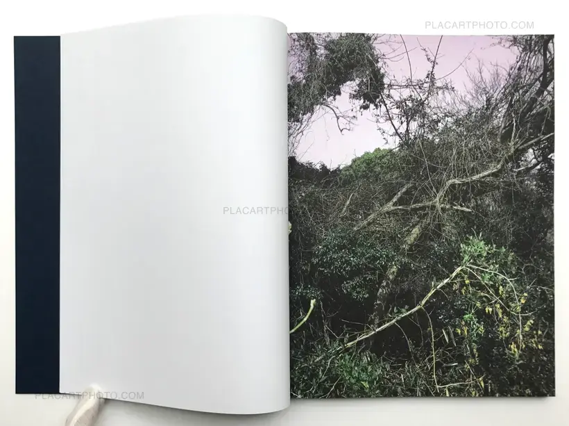 Subterranean River (Signed copy)