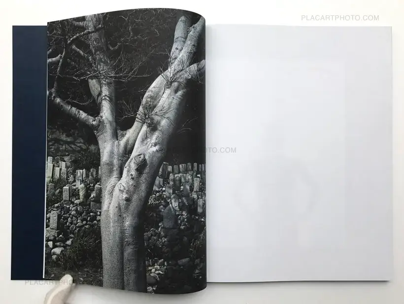 Subterranean River (Signed copy)