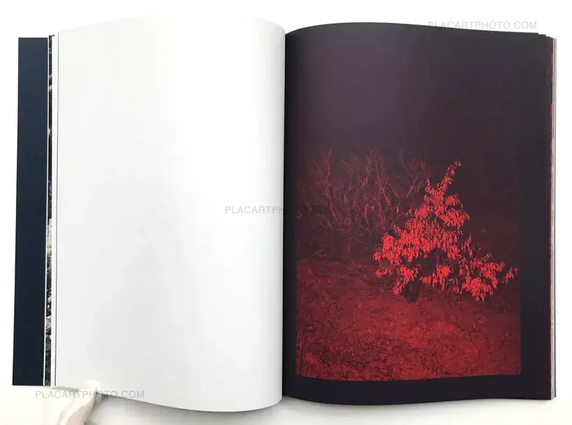 Subterranean River (Signed copy)