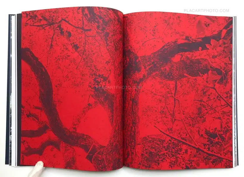 Subterranean River (Signed copy)