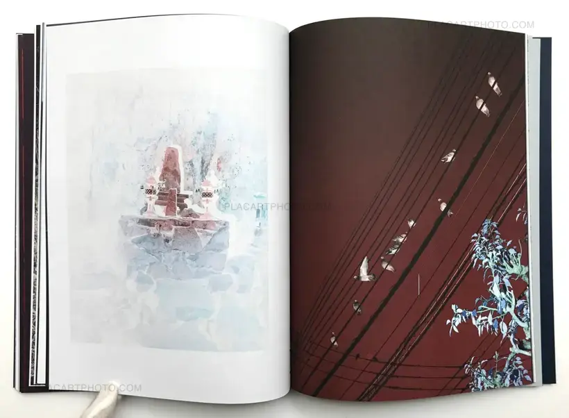 Subterranean River (Signed copy)