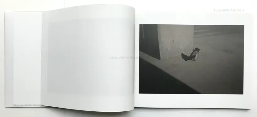 Hidden Kingdom (Signed copy)