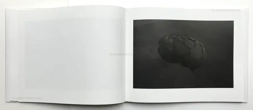 Hidden Kingdom (Signed copy)