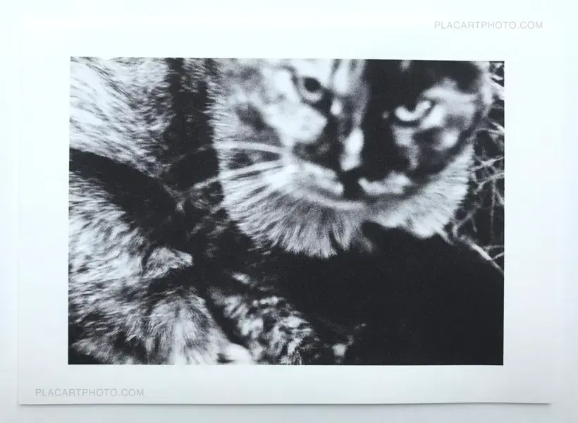 Tokyo Etude (Signed)(EXTREMELY LIMITED)