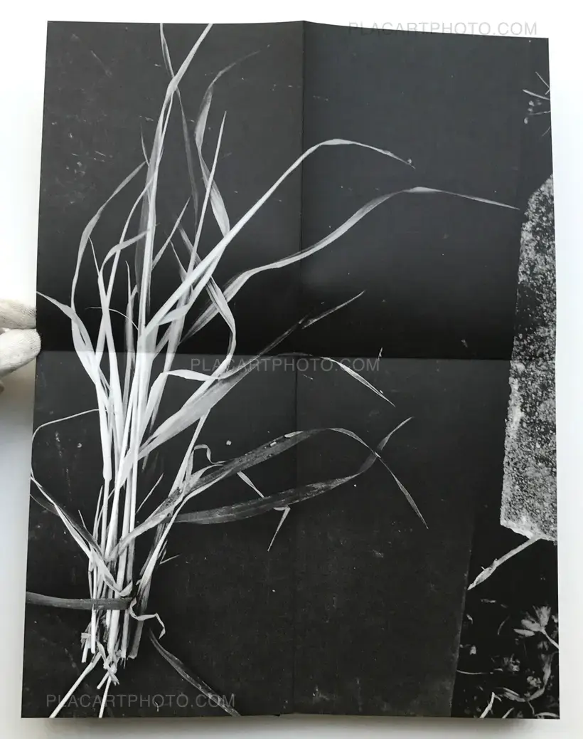 BEHIND THE GLASS (Signed copy)