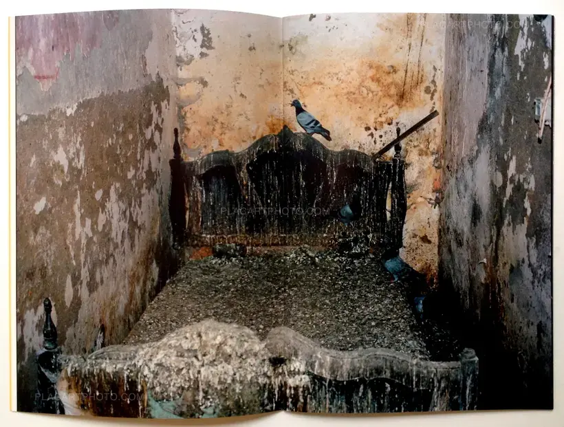 O Perfume do Boi (Signed)