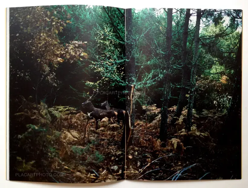 O Perfume do Boi (Signed)