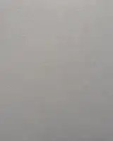 And where did the peacocks go ? (Regular edition of 400 copies) SIGNED