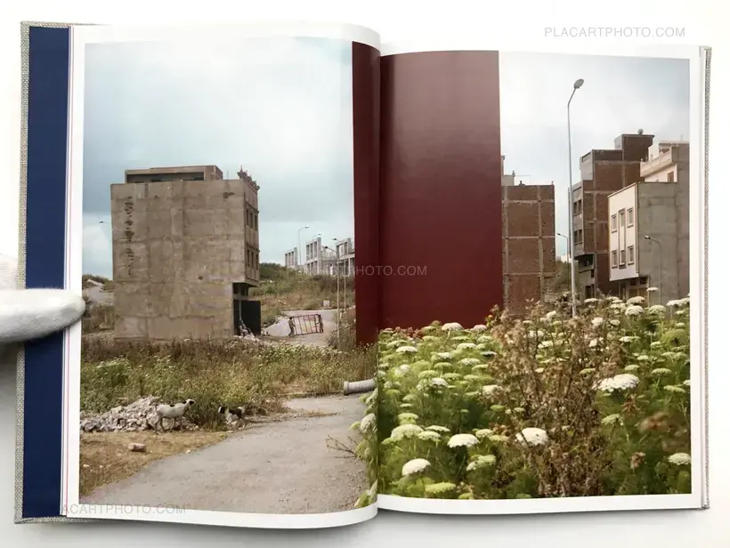 A guide to trees for governors and gardeners (Signed Ltd edt)