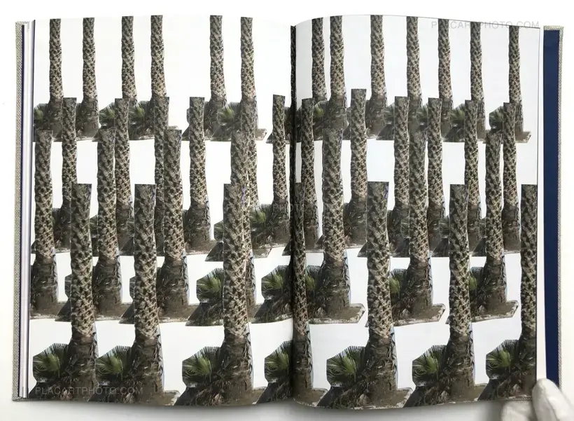 A guide to trees for governors and gardeners (Signed Ltd edt)