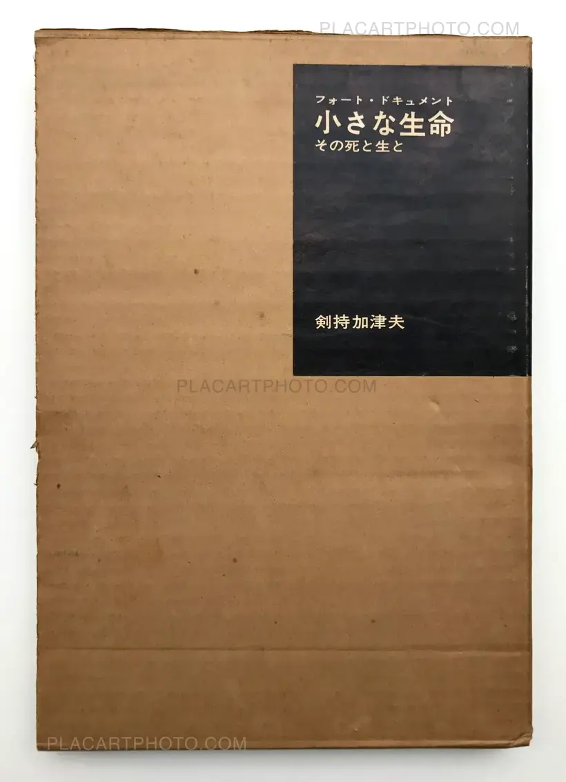 PHOTOGRAPHIC DOCUMENT THE TINIEST LIFE