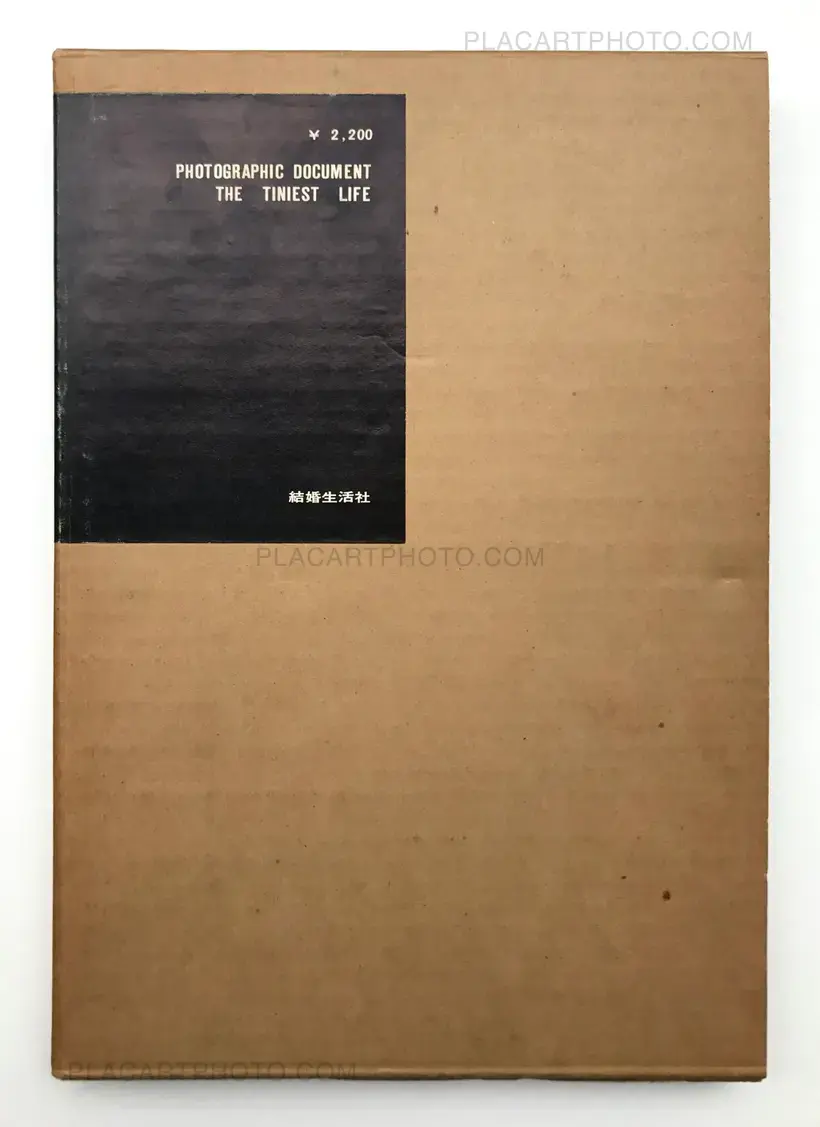 PHOTOGRAPHIC DOCUMENT THE TINIEST LIFE