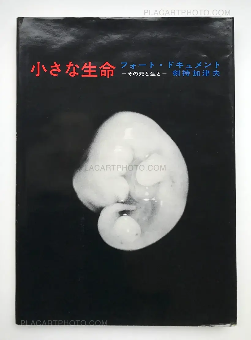 PHOTOGRAPHIC DOCUMENT THE TINIEST LIFE