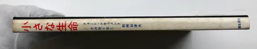 PHOTOGRAPHIC DOCUMENT THE TINIEST LIFE