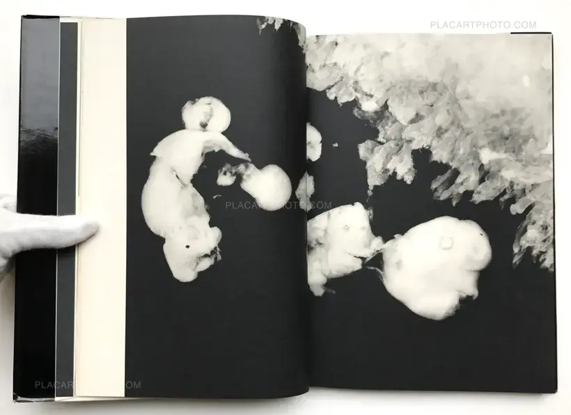 PHOTOGRAPHIC DOCUMENT THE TINIEST LIFE