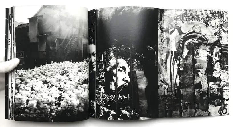 White Noise (signed)