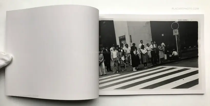 Last Year's Photographs