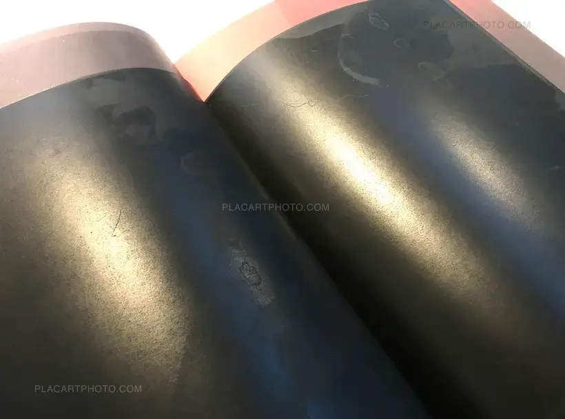 Meat (numbered copy of 230)