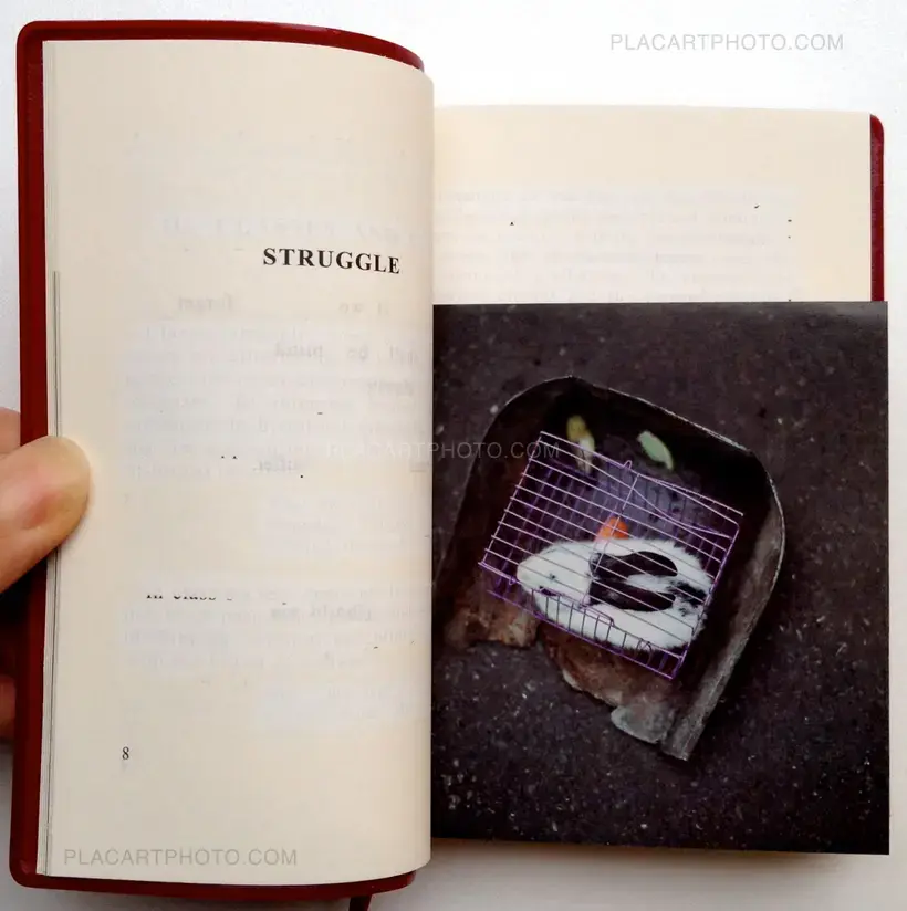 Party. Quitonasto Form Chanmair Mao Tungest