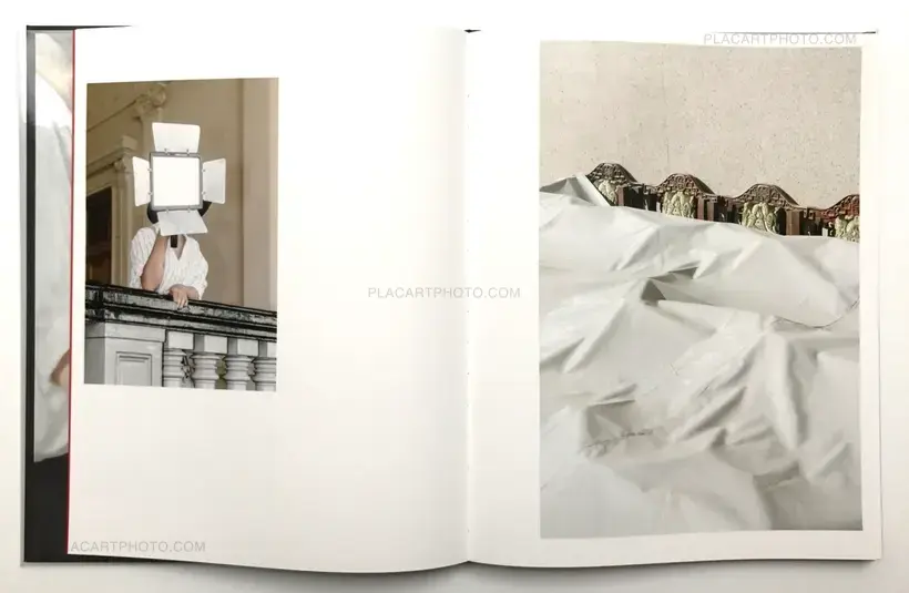 CHARLIE SURFS ON LOTUS FLOWERS