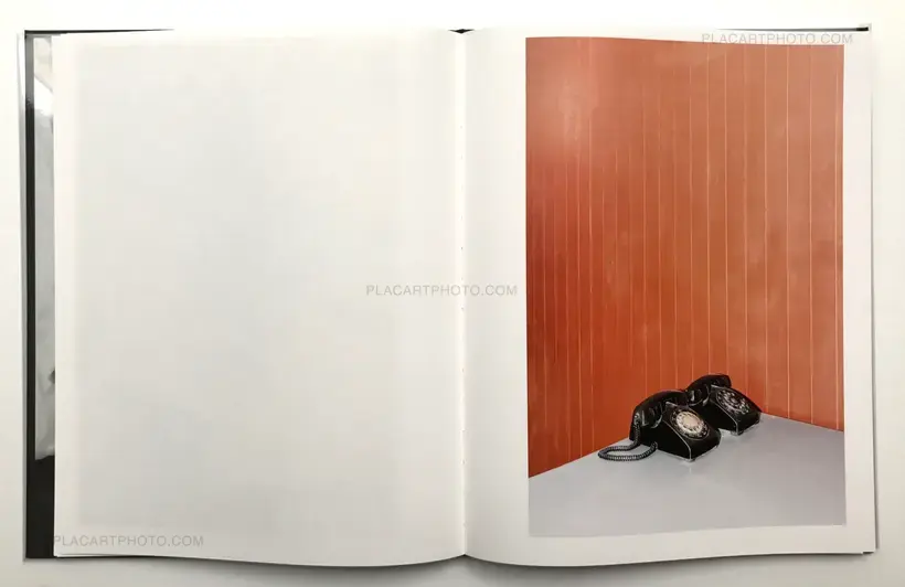 CHARLIE SURFS ON LOTUS FLOWERS