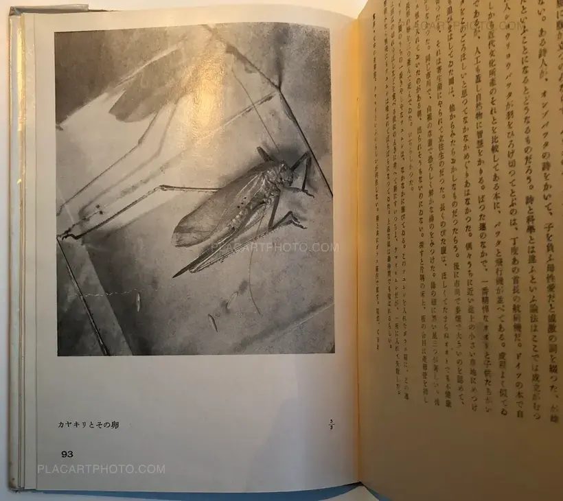 Hakubutsushi: Zuihitsu, Shashin