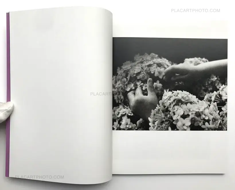 Kichimu Flies at Night