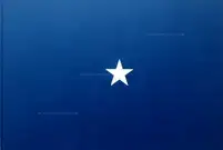 A New American Picture (Signed)