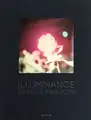Illuminance (Signed)