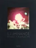 Illuminance (Signed)