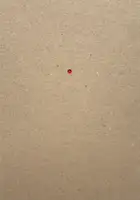 Maria (Special edition with print and vintage bag)