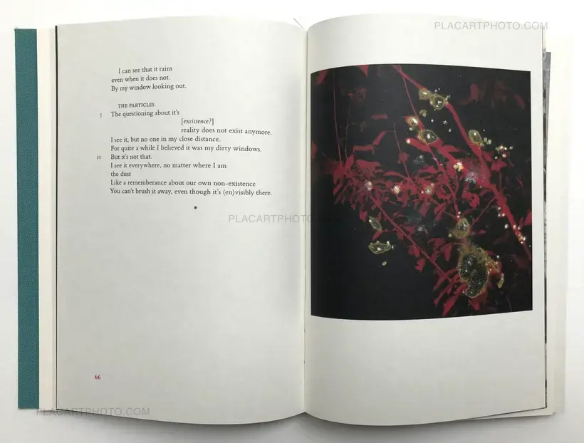 Montöristen (Signed)