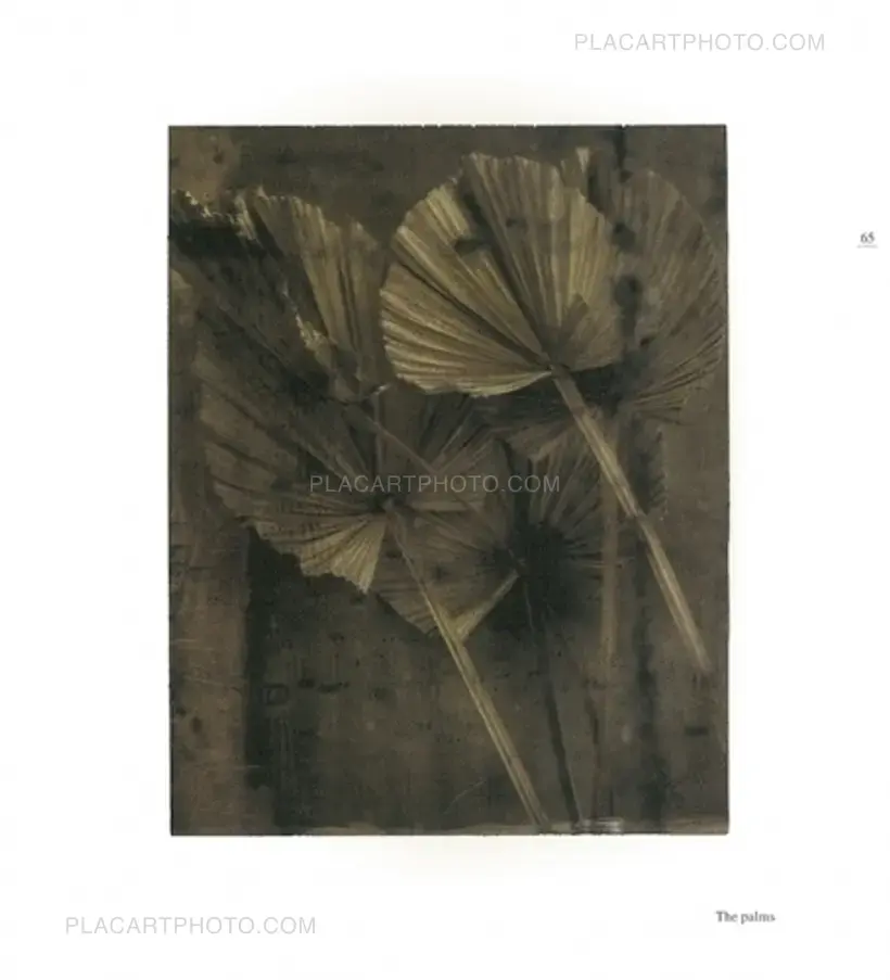 FROM ONE SEASON TO ANOTHER (SIGNED)